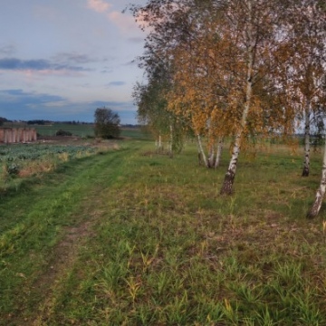 Osiedle Słoneczne - w kontakcie z naturą.